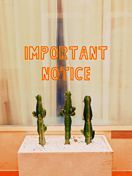 【配送お休みのお知らせ📢】