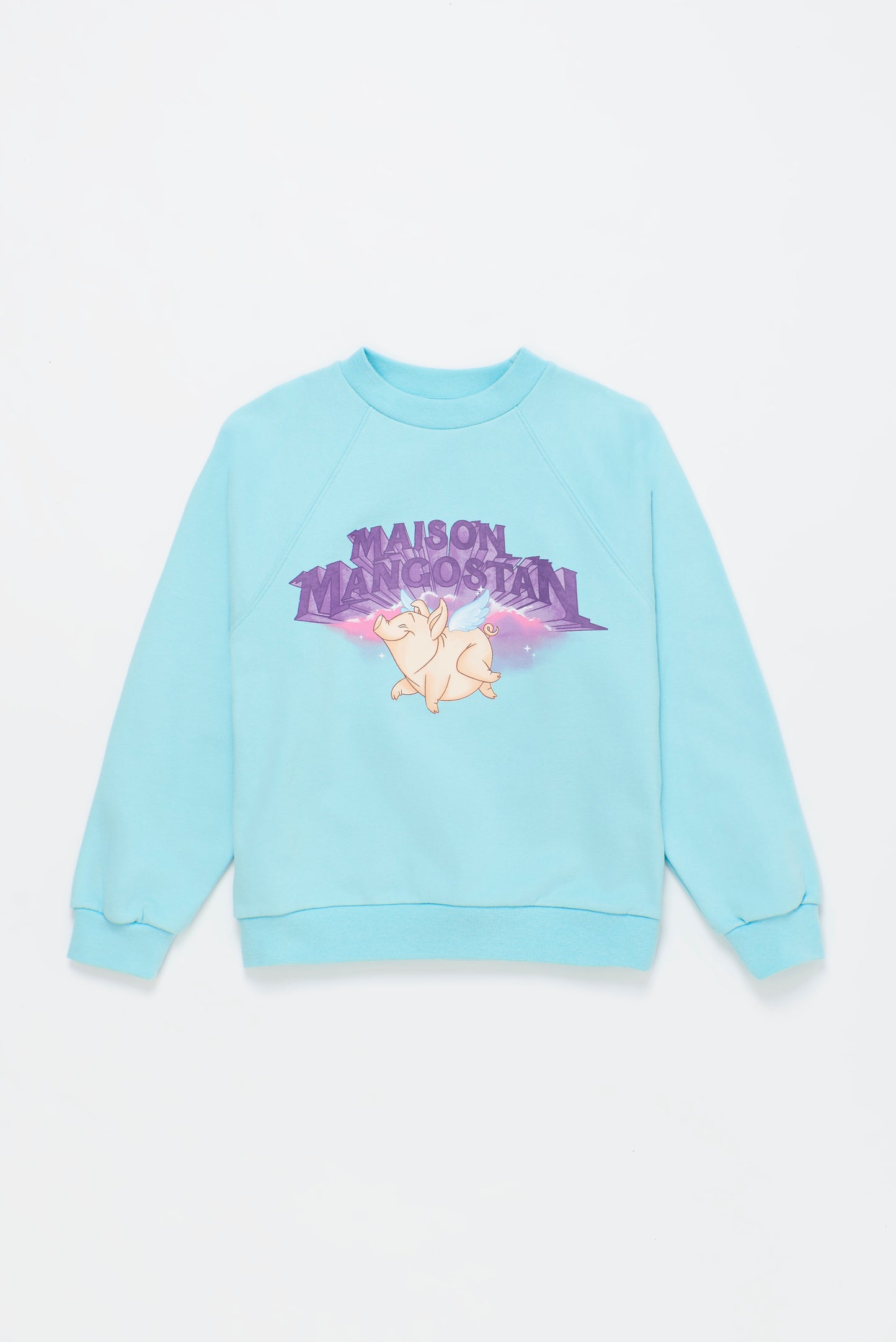 FLYING PIG SWEATSHIRT LIGHT BLUE